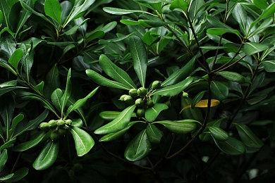 回合制FPS《雷能思之门》跳票至9月28日推出